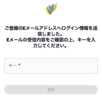 案内された確認キーを入力する空フォーム。メール送信は未実行